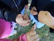 Alba libera 6mila coccinelle per la difesa di alberi e piante