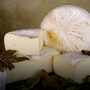 Piemonte protagonista a Casearia, fiera nazionale in Molise Piemonte protagonista a Casearia, fiera nazionale in Molise