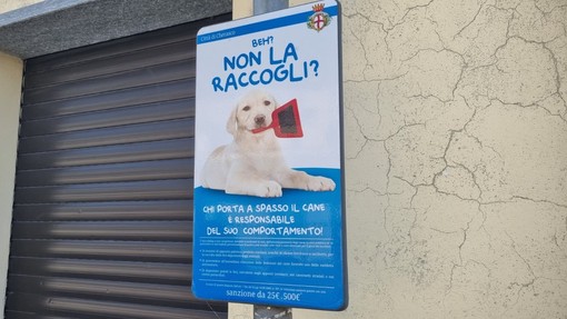 Quando l'inciviltà la fa da "padrone": a Cherasco l'invito a raccogliere le deiezioni dei cani Quando l'inciviltà la fa da "padrone": a Cherasco l'invito a raccogliere le deiezioni dei cani