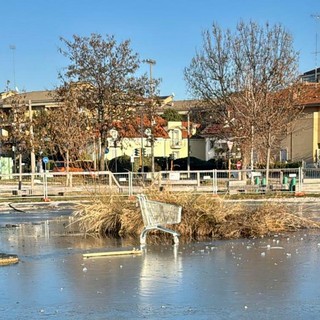 Il carrello della spesa sul laghetto ghiacciato del Parco Parri