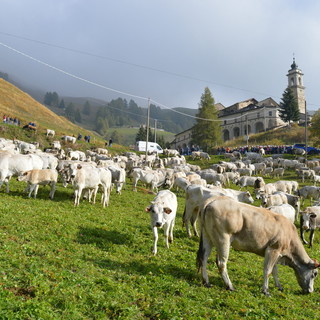 A Roccaforte Mondovì Confagricoltura celebra la discesa dei malgari con “Caluma el vache”