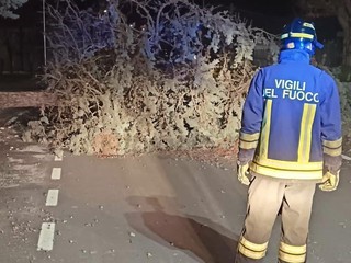 L'intervento dei Vigili del Fuoco a Costigliole Saluzzo