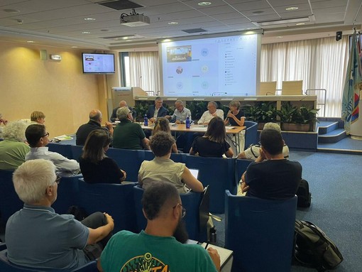 Confcooperative Piemonte e Cisl Piemonte: “Serve un progetto condiviso per lo sviluppo del Piemonte” Confcooperative Piemonte e Cisl Piemonte: “Serve un progetto condiviso per lo sviluppo del Piemonte”