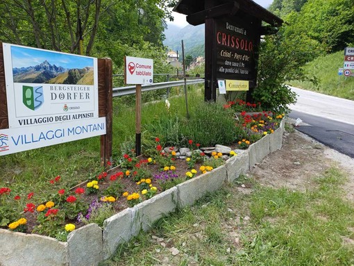 Crissolo si veste d’estate: oltre 800 fiori nelle aiuole del paese e delle frazioni
