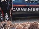 Alba, i carabinieri sventano un furto di rame all'ex-stabilimento Miroglio: in manette un 42enne rumeno