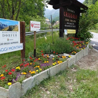Crissolo si veste d’estate: oltre 800 fiori nelle aiuole del paese e delle frazioni