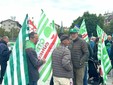 Nelle foto alcuni momenti della manifestazione tenuta in piazza Foro Boario