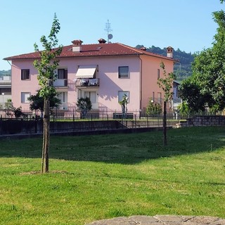 Ceva investe sul verde urbano: nuove piantumazioni tra parchi, vie e piazze