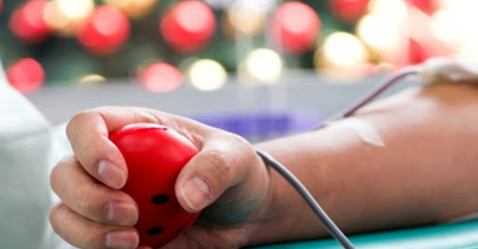 Sanità, carenza di plasma in tutto il Piemonte:  da Cuneo l'appello per i donatori dei gruppi AB e B