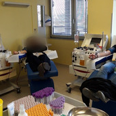 "La solidarietà non va in letargo": riparte la campagna per la donazione di plasma a Cuneo, Savigliano e Mondovì
