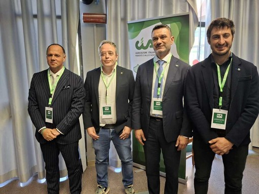 Da sinistra, Gabriele Carenini, Igor Varrone, Cristiano Fini e Marco Bozzolo