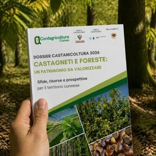 Cuneo, Confagricoltura presenta il Dossier castanicoltura 2026: per la prima volta anche il castagno nei boschi Cuneo, Confagricoltura presenta il Dossier castanicoltura 2026: per la prima volta anche il castagno nei boschi