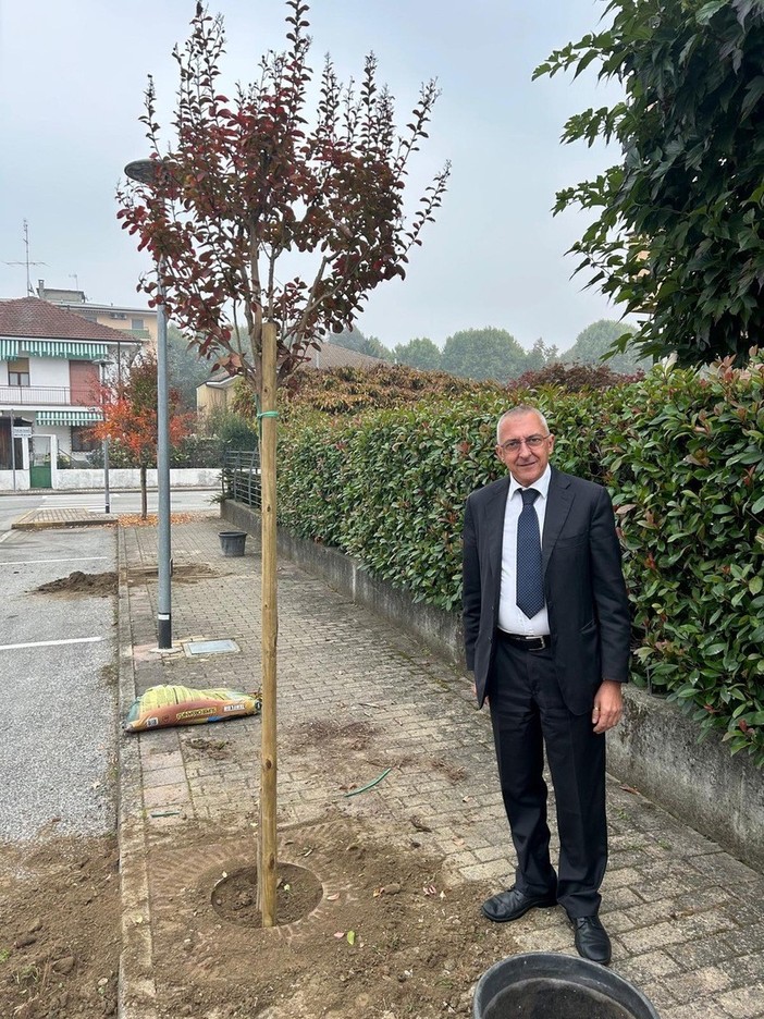 Domenico Annibale con gli alberi appena piantati Domenico Annibale con gli alberi appena piantati