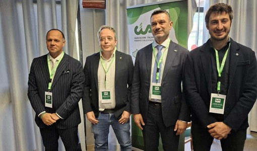 Gasolio e Transizione 5.0, Cia Cuneo: "Accolte le nostre richieste, premiato il dialogo con il governo" Gasolio e Transizione 5.0, Cia Cuneo: "Accolte le nostre richieste, premiato il dialogo con il governo"