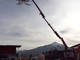 L’albero di Natale più alto di Peveragno si conferma il pino sospeso di Santa Margherita