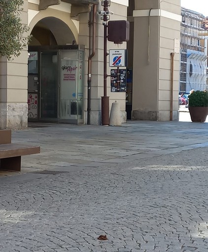 Deiezioni canine in via Roma a Cuneo, la protesta dei residenti