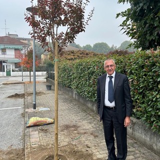 Domenico Annibale con gli alberi appena piantati