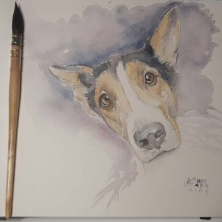 Disegno di Francesca Semeraro Disegno di Francesca Semeraro