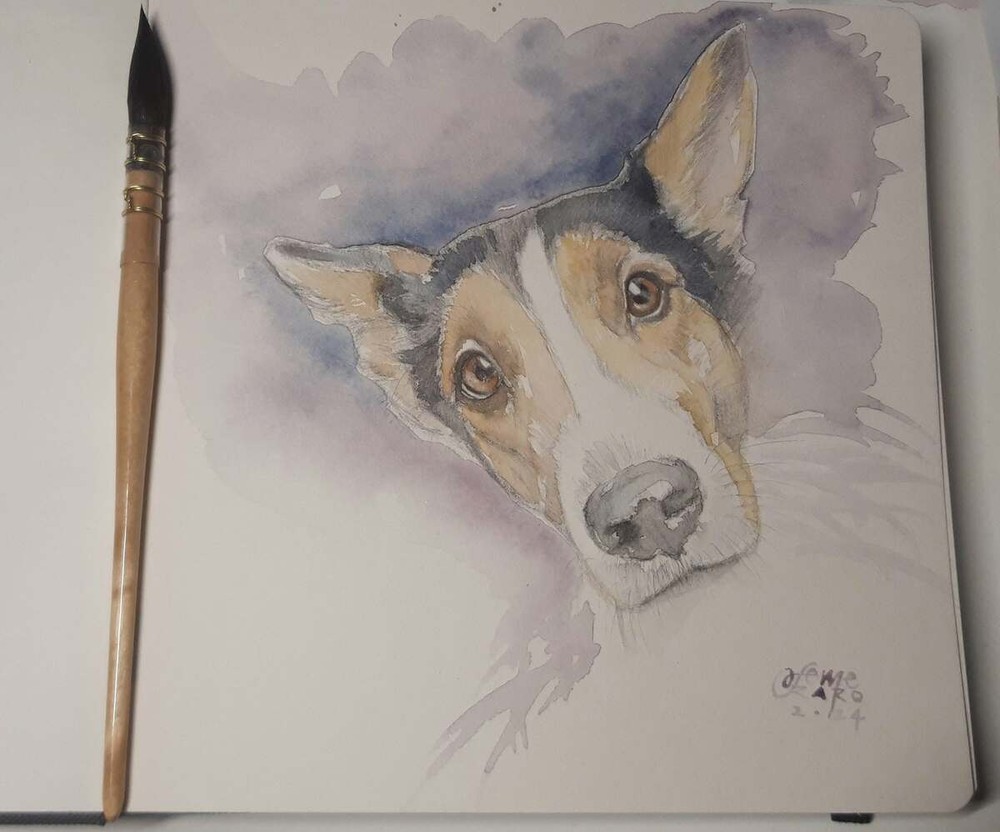 Disegno di Francesca Semeraro