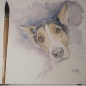 Disegno di Francesca Semeraro