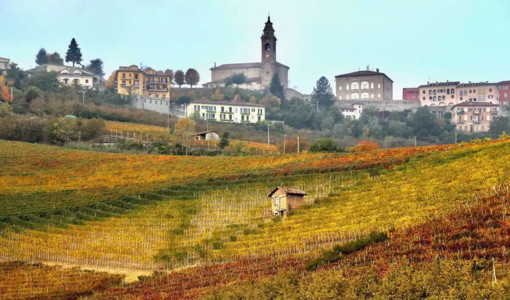 Il comune di Diano d'Alba Il comune di Diano d'Alba