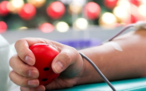 Sanità, carenza di plasma in tutto il Piemonte:  da Cuneo l'appello per i donatori dei gruppi AB e B