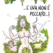 La vignetta di Paparelli dedicata alla vendemmia La vignetta di Paparelli dedicata alla vendemmia