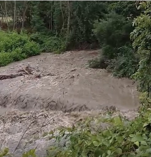 Maltempo in alta Valle Ellero, chiuse le prese dell'acquedotto: "Acqua solo per usi strettamente necessari" Maltempo in alta Valle Ellero, chiuse le prese dell'acquedotto: "Acqua solo per usi strettamente necessari"