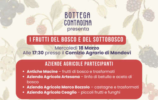 I frutti del bosco e del sottobosco protagonisti al Comizio Agrario di Mondovì