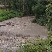 Maltempo in alta Valle Ellero, chiuse le prese dell'acquedotto: "Acqua solo per usi strettamente necessari" Maltempo in alta Valle Ellero, chiuse le prese dell'acquedotto: "Acqua solo per usi strettamente necessari"