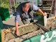 Nel weekend Cia Cuneo protagonista a Expoflora Fossano Nel weekend Cia Cuneo protagonista a Expoflora Fossano