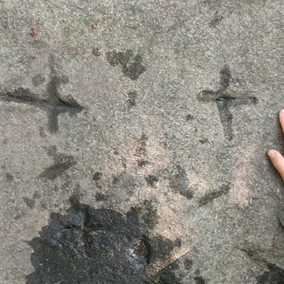 Le incisioni rupestri sul Mombracco
