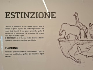 Alcuni momenti della presentazione tenuta questa mattina al castello di Roddi