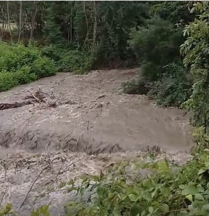 Maltempo in alta Valle Ellero, chiuse le prese dell'acquedotto: "Acqua solo per usi strettamente necessari" Maltempo in alta Valle Ellero, chiuse le prese dell'acquedotto: "Acqua solo per usi strettamente necessari"