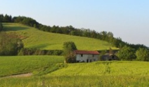 Associazione Paesaggi vitivinicoli Langhe Roero Monferrato: Libri da Gustare