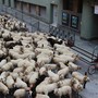 A Cuneo è il weekend del festival della Montagna