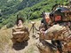 Team specializzato nel supporto aereo di diverse nazioni durante un'attività addestrativa congiunta