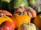 Coldiretti: la “zucca economy” di Halloween vale oltre 30 milioni di euro Coldiretti: la “zucca economy” di Halloween vale oltre 30 milioni di euro