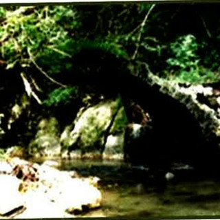 Nuove iniziative per cercare di salvaguardare il ponte a "Pradera" Nuove iniziative per cercare di salvaguardare il ponte a "Pradera"