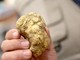 Tartufo "delle Rocche" protagonista a Monteu Roero con due giorni di eventi. Ospiti d’onore Valerio Staffelli e Luca Mercalli Tartufo "delle Rocche" protagonista a Monteu Roero con due giorni di eventi. Ospiti d’onore Valerio Staffelli e Luca Mercalli