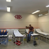 Fidas di Gallo Grinzane: un 2025 di crescita e partecipazione con 238 sacche raccolte