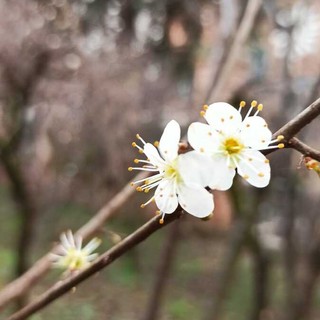 Foto di Stefano Tibaldi Foto di Stefano Tibaldi