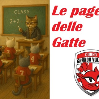 VOLLEY A1F / NOVARA-HONDA CUNEO 2-3: le pagelle delle Gatte