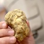Tartufo e marroni, da Alba a Roccavione e Fossano dominano il week end della provincia di Cuneo