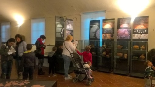 ARCHEOSTAR: al Museo Civico di Cuneo il passato va di moda