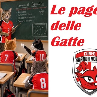 VOLLEY FEMMINILE A1 / Granda Volley Cuneo-Fenera Chieri 0-3: le pagelle delle Gatte