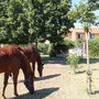 Il centro diurno I Girasoli di Cussanio Il centro diurno I Girasoli di Cussanio