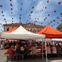 La Sagra della Fragola di Peveragno cambia calendario: dal 2027 si sposta alla prima settimana di giugno La Sagra della Fragola di Peveragno cambia calendario: dal 2027 si sposta alla prima settimana di giugno