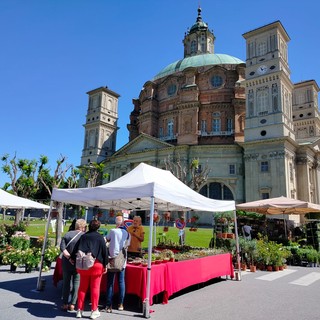 Vicoforte approva le linee di indirizzo per "Florete Flores"