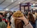 Chiude la 94ª edizione della Fiera del Tartufo Bianco d’Alba, sempre più internazionale Chiude la 94ª edizione della Fiera del Tartufo Bianco d’Alba, sempre più internazionale